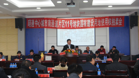 11號地塊國有建設用地使用權(quán)